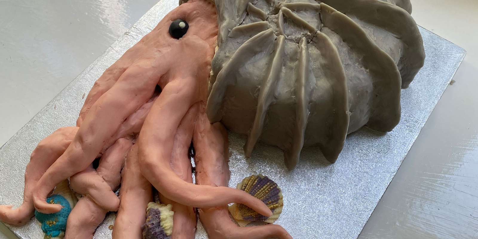 Sculpted sea animal cake with modelling chocolate and chocolate shells around the tentacles of the animal.